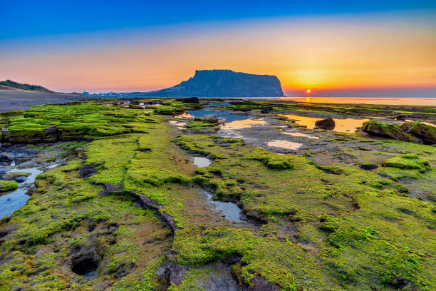 Japan and South Korea Group Tour